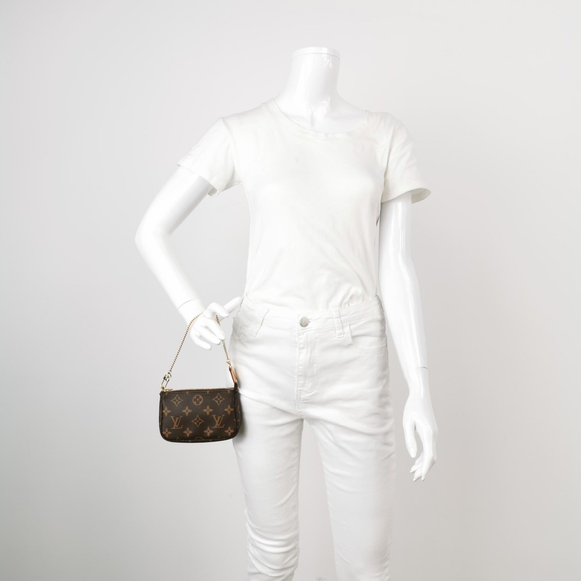 Louis Vuitton Pochette Accessoires