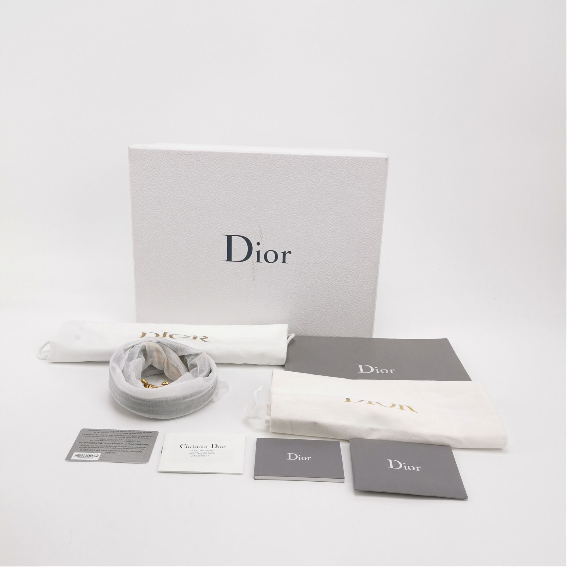 Dior Saddle Mini