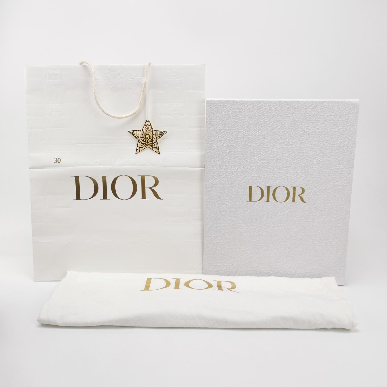 Dior D-Journey Medium