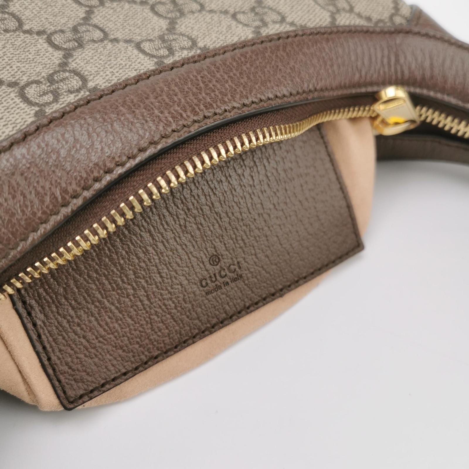 Gucci Ophidia Small