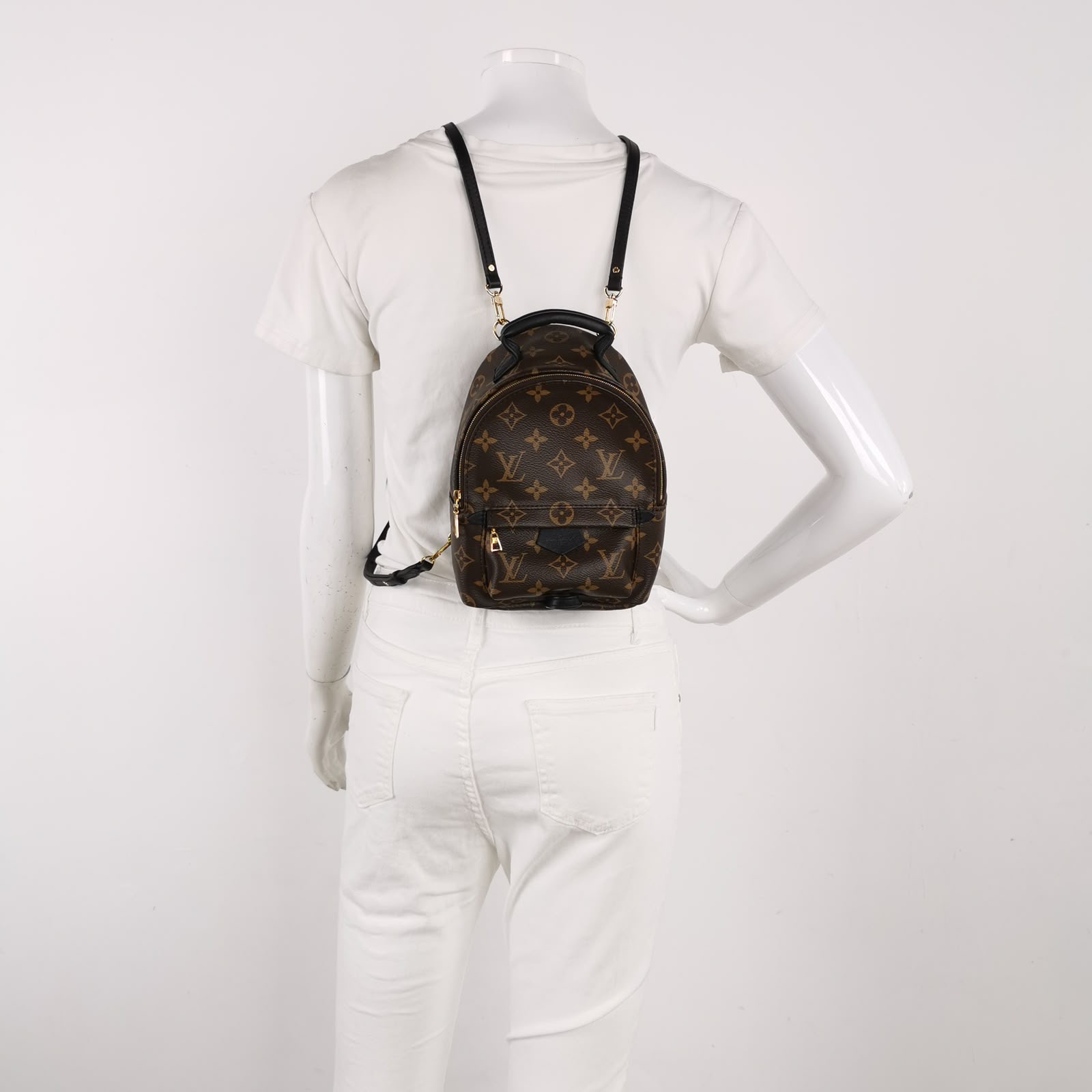 Louis Vuitton Palm Springs Mini