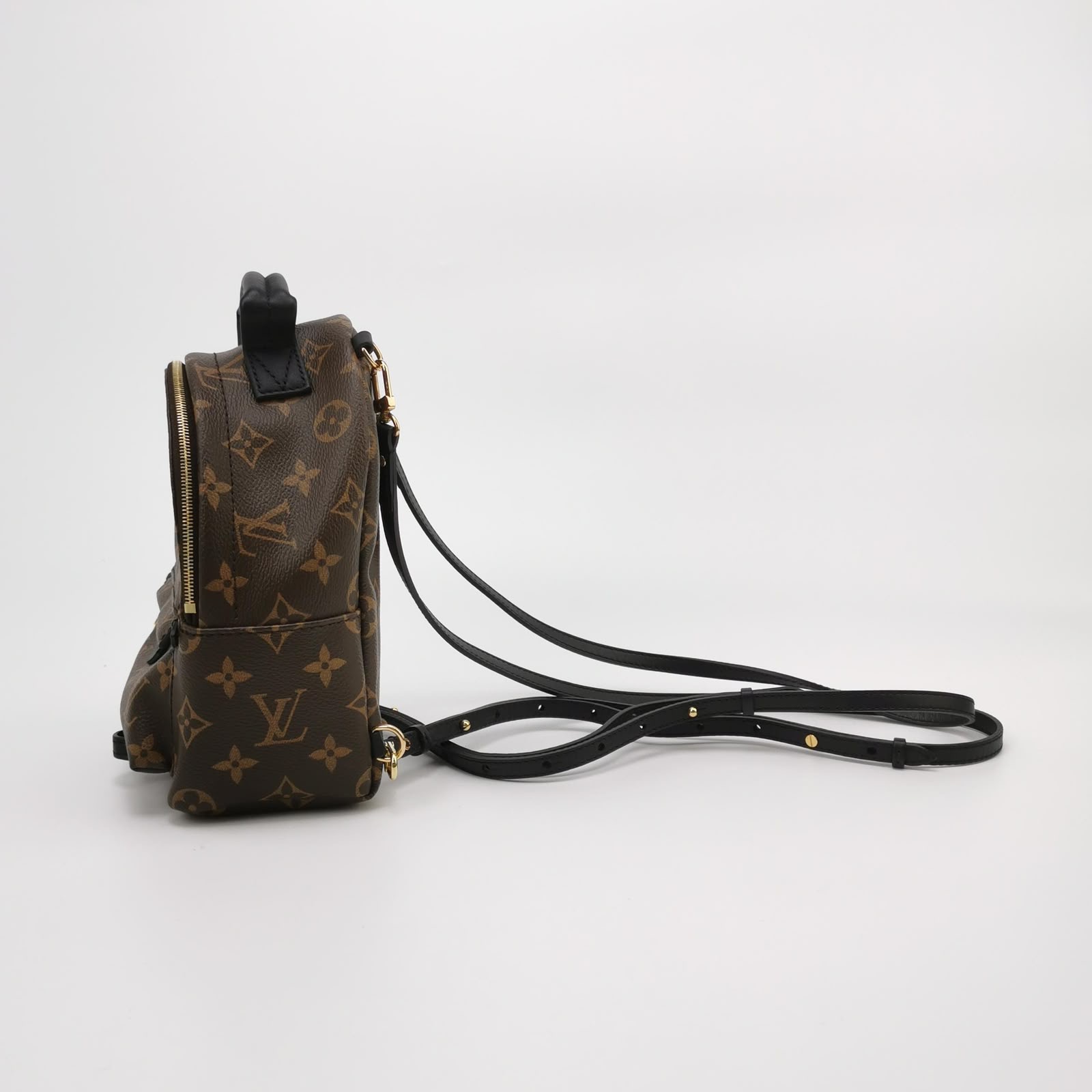 Louis Vuitton Palm Springs Mini